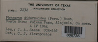 Image Associated With the Occurence